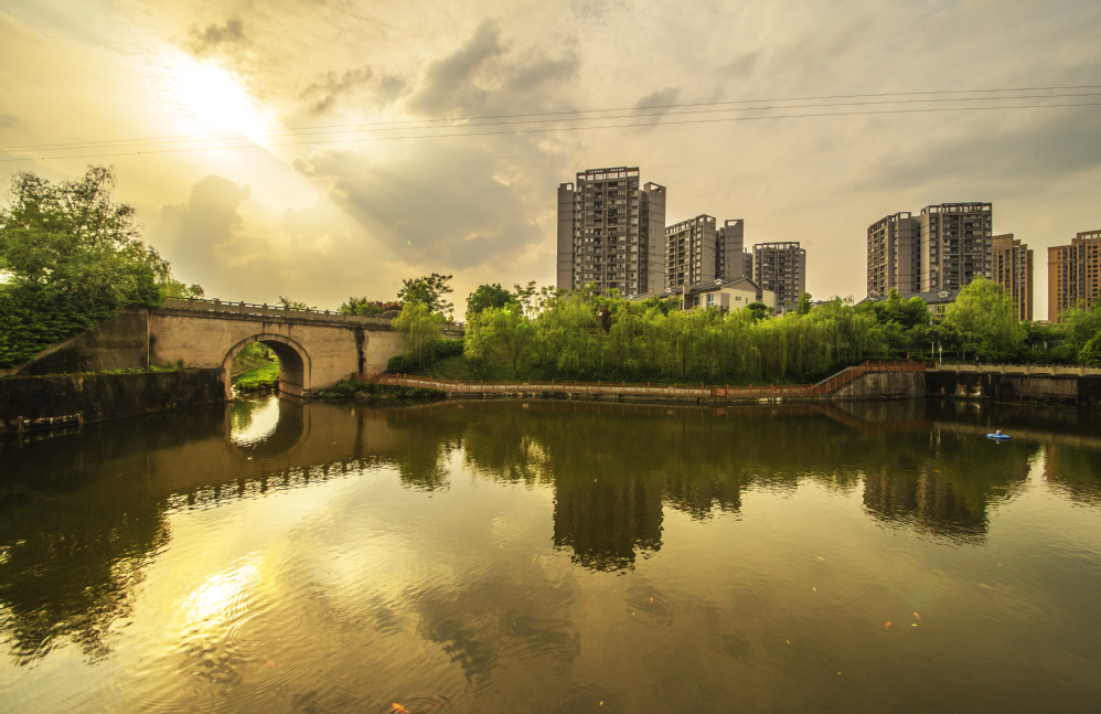 重慶城市管理職業(yè)學(xué)院校園風(fēng)景