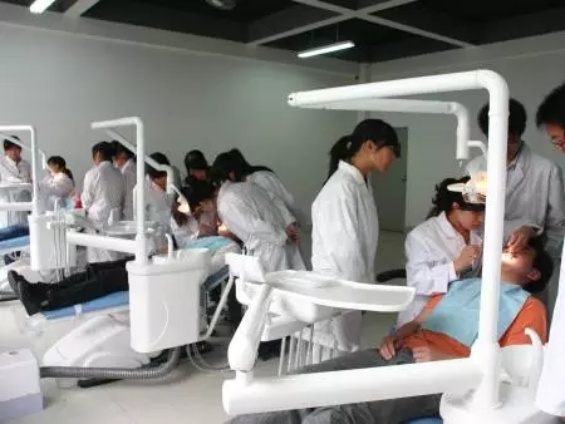 山東龍口礦業(yè)集團高級技工學校開設了哪些職教高考專業(yè)？