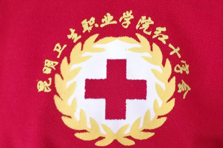  昆明衛(wèi)生職業(yè)學(xué)院紅十字會開展應(yīng)急救護(hù)員培訓(xùn)