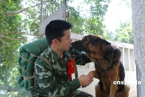 2020年福建退伍軍人補(bǔ)貼政策,福建退伍費(fèi)什么時(shí)候發(fā)