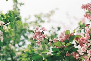 2020年四川華盛航空港職業(yè)學(xué)校報名條件及招生對象