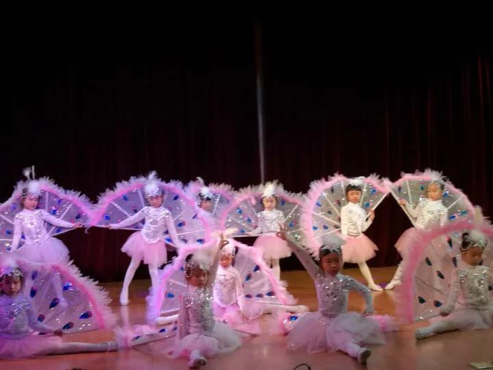 山東省城市服務(wù)技術(shù)學(xué)院幼兒教育專業(yè)2017教學(xué)成果匯報(bào)演出圓滿落幕