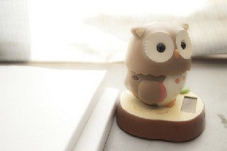 2021年成都實(shí)用工程技術(shù)學(xué)校招生對(duì)象及招生條件