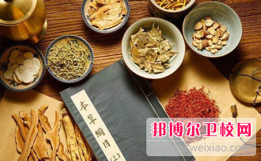 湛江2021年去衛(wèi)校學什么專業(yè)好