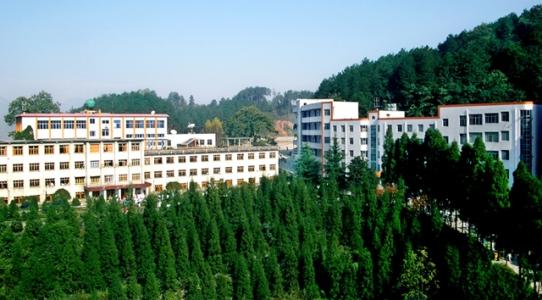  2021年黔南民族幼兒師范高等專科學(xué)校分類考試招生專業(yè)有哪些？