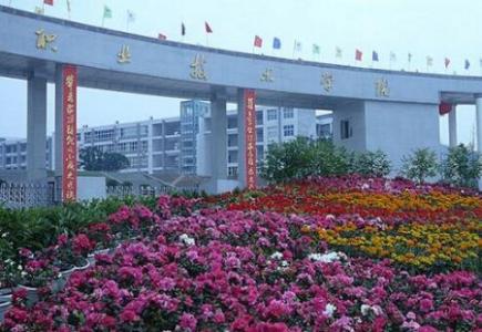  四川職業(yè)技術(shù)學(xué)院2021年單獨招生錄取分數(shù)線