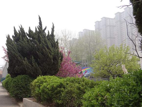 煙臺(tái)天虹學(xué)院春季高考的優(yōu)勢(shì)？