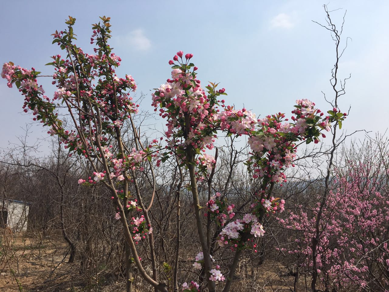 高職單招你考慮了嗎？到底值不值得考？