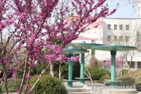 2021年山東工程技師學(xué)院什么時(shí)候開始招生？