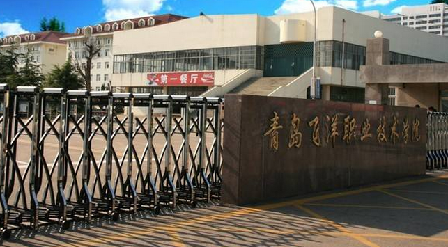 青島飛洋職業(yè)技術學院怎么樣 評價排名好不好(10條)