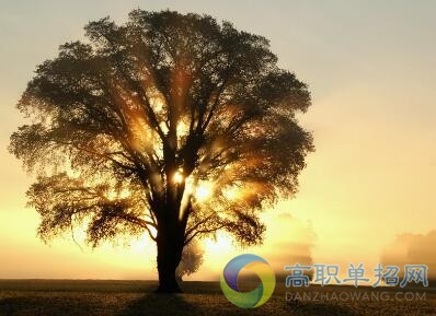  四川司法警官職業(yè)學院2021年單招專業(yè)及計劃