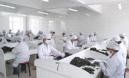 煙臺哪里能學(xué)農(nóng)副產(chǎn)品加工專業(yè)？