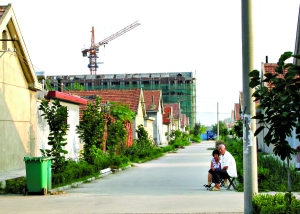 多省市強行撤村并居