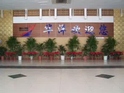 報(bào)名濰坊華洋水運(yùn)學(xué)校需要滿(mǎn)足什么條件呢？報(bào)名須知？