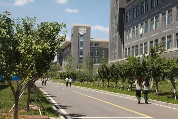 山東公路技師學院2021年新生入學須知
