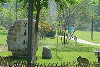石家莊輕工技工學(xué)校美術(shù)繪畫專業(yè)怎么樣?