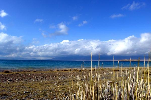 重慶市秀山高級中學2021年普高招生錄取分數(shù)線,地址
