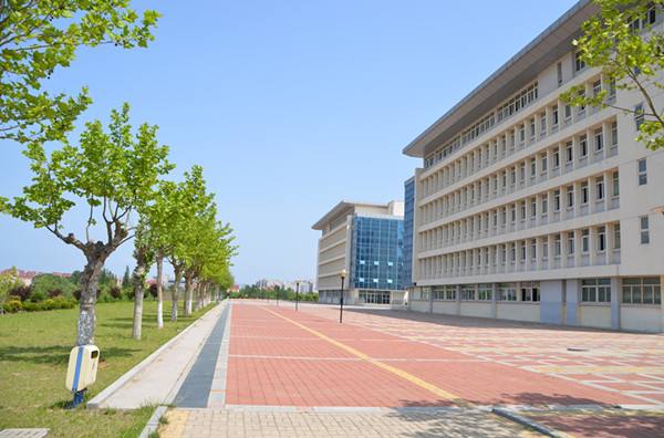山東省城市服務(wù)技術(shù)學(xué)院有哪些培養(yǎng)層次？