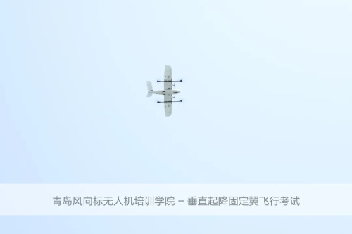 青島風(fēng)向標(biāo)無人機(jī)培訓(xùn)學(xué)院：關(guān)于無人機(jī)培訓(xùn)，你想知道的都在這里...