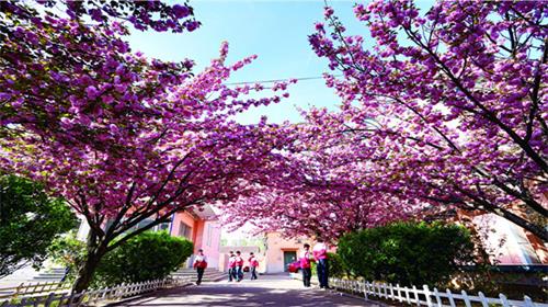 山東華德職業(yè)中等專業(yè)學(xué)校升學(xué)和就業(yè)有保障嗎？