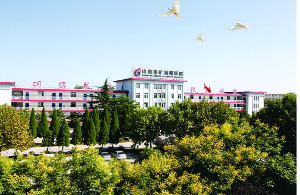 山東兗礦技師學院畢業(yè)生赴濱州魏橋電廠實習就業(yè)